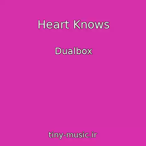 کاور آهنگ Heart Knows از Dualbox