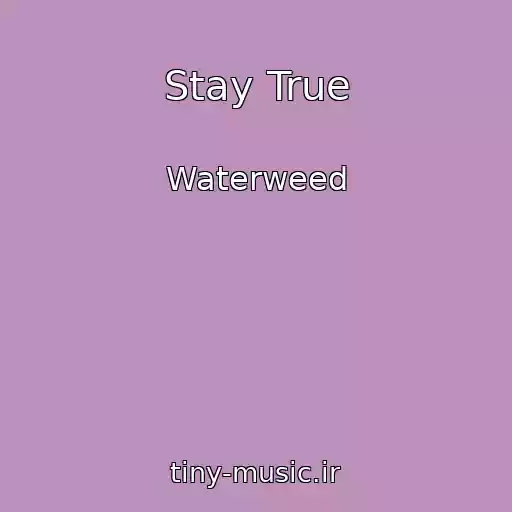 کاور آهنگ Stay True از Waterweed
