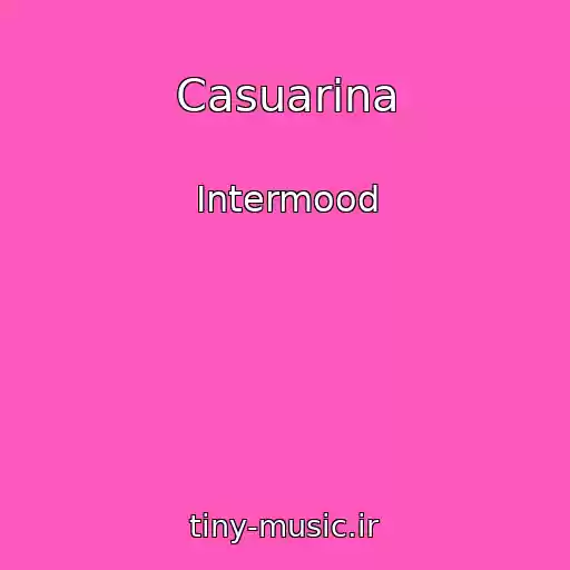کاور آهنگ Casuarina از Intermood