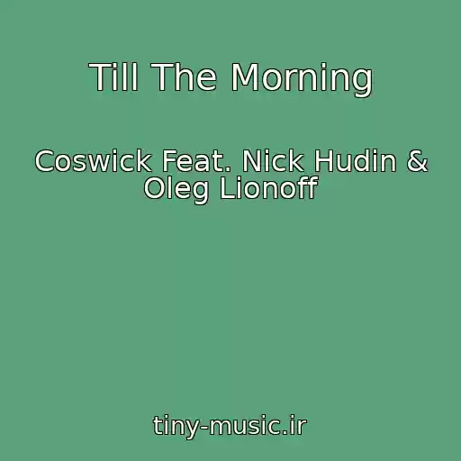کاور آهنگ Till The Morning از Coswick Feat. Nick Hudin & Oleg Lionoff