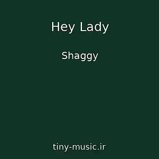 کاور آهنگ Hey Lady از Shaggy
