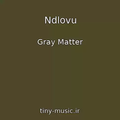 کاور آهنگ Ndlovu از Gray Matter