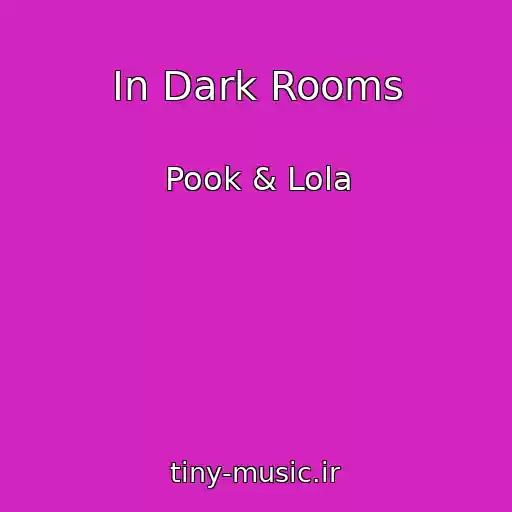کاور آهنگ In Dark Rooms از Pook & Lola