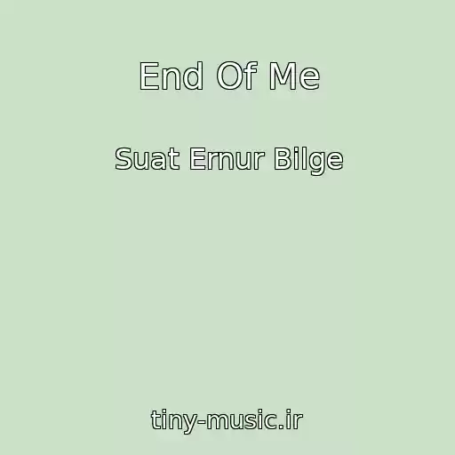 کاور آهنگ End Of Me از Suat Ernur Bilge