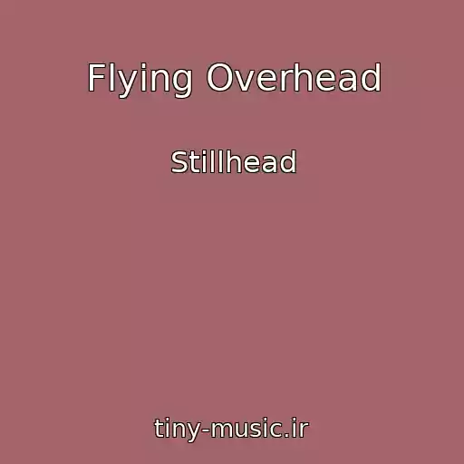 کاور آهنگ Flying Overhead از Stillhead