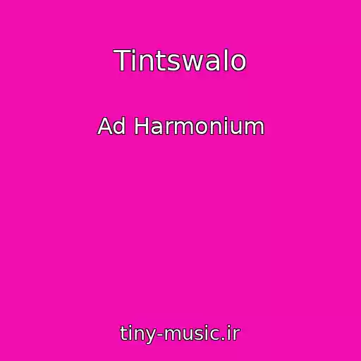 کاور آهنگ Tintswalo از Ad Harmonium