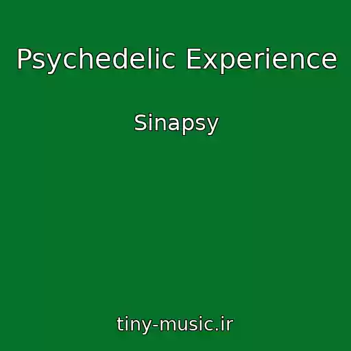 کاور آهنگ Psychedelic Experience از Sinapsy