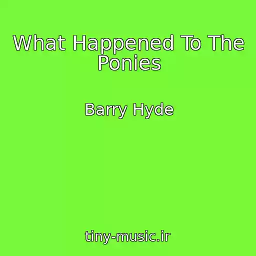 کاور آهنگ What Happened To The Ponies از Barry Hyde