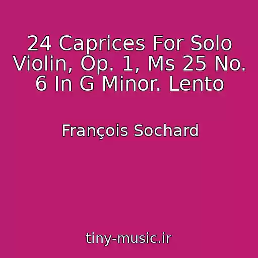 کاور آهنگ 24 Caprices For Solo Violin, Op. 1, Ms 25 No. 6 In G Minor. Lento از François Sochard