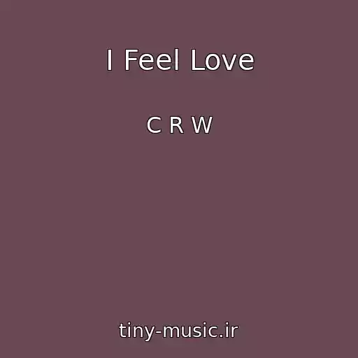 کاور آهنگ I Feel Love از C R W
