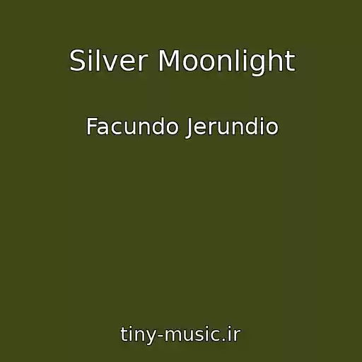 کاور آهنگ Silver Moonlight از Facundo Jerundio