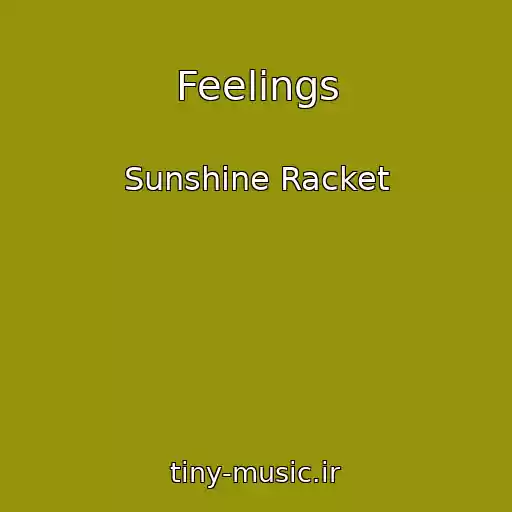 کاور آهنگ Feelings از Sunshine Racket