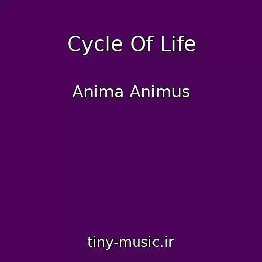 کاور آهنگ Cycle Of Life از Anima Animus