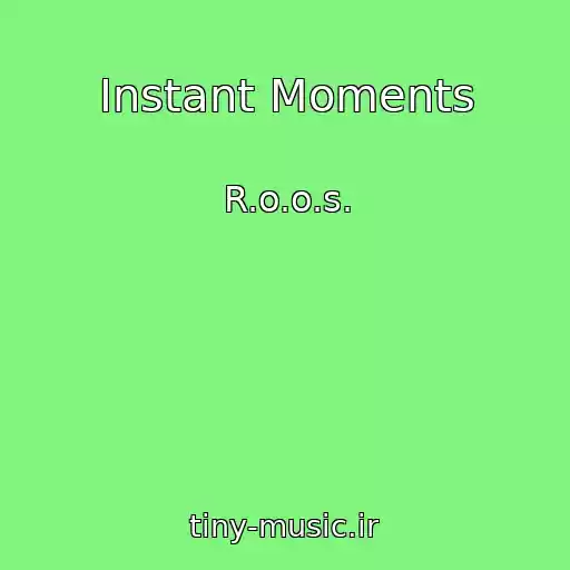 کاور آهنگ Instant Moments از R.o.o.s.