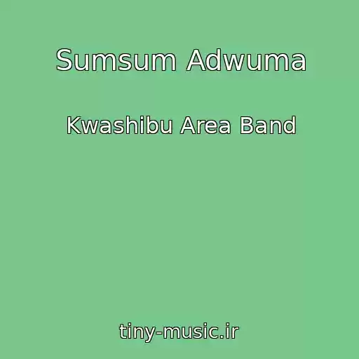 کاور آهنگ Sumsum Adwuma از Kwashibu Area Band