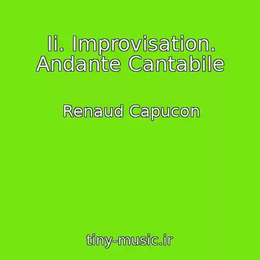 کاور آهنگ Ii. Improvisation. Andante Cantabile از Renaud Capucon