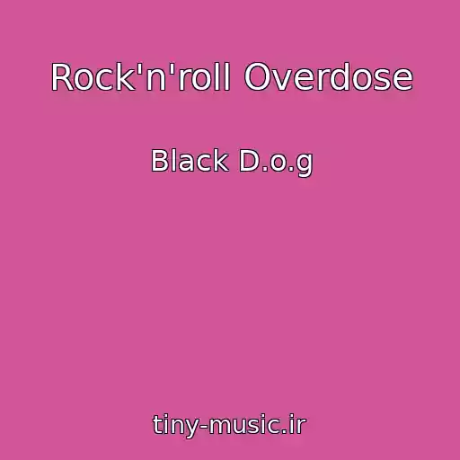 کاور آهنگ Rock'n'roll Overdose از Black D.o.g