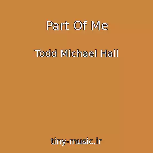 کاور آهنگ Part Of Me از Todd Michael Hall