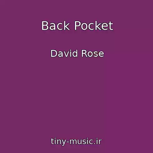 کاور آهنگ Back Pocket از David Rose