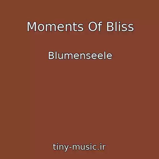 کاور آهنگ Moments Of Bliss از Blumenseele