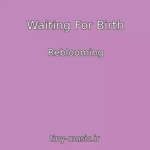 کاور آهنگ Waiting For Birth از Reblooming