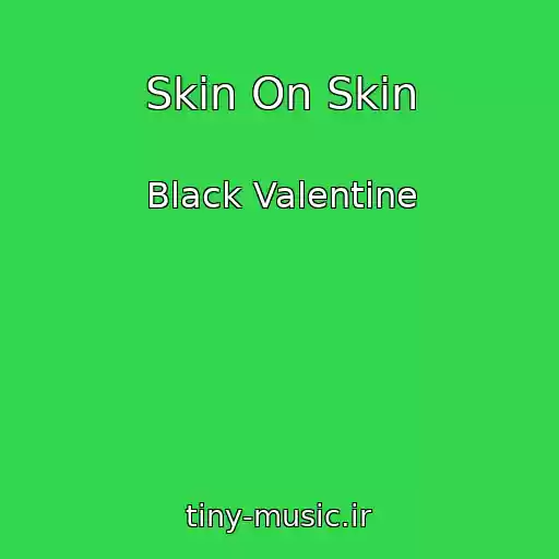 کاور آهنگ Skin On Skin از Black Valentine