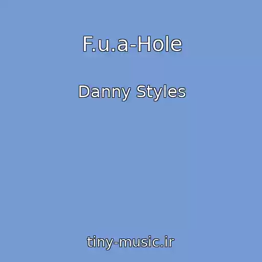 کاور آهنگ F.u.a-Hole از Danny Styles