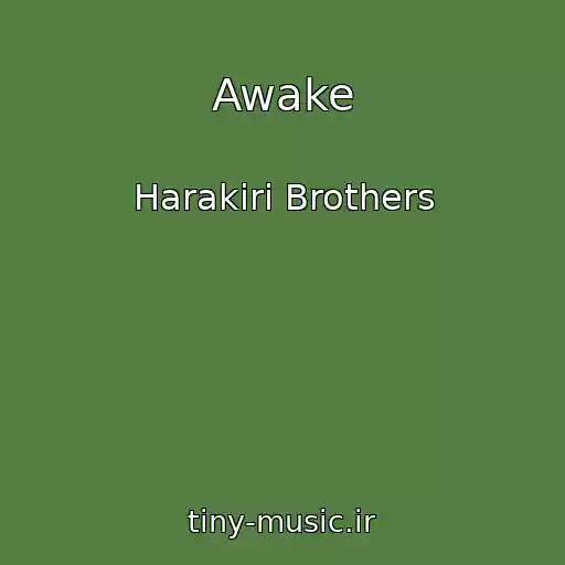 کاور آهنگ Awake از Harakiri Brothers