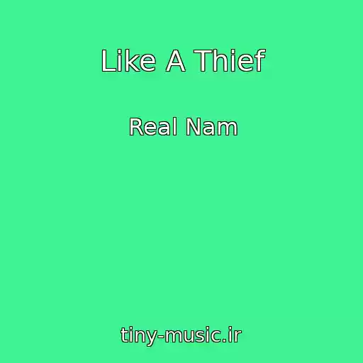 کاور آهنگ Like A Thief از Real Nam