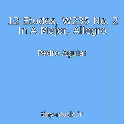 کاور آهنگ 12 Etudes, W235 No. 2 In A Major, Allegro از Pedro Aguiar