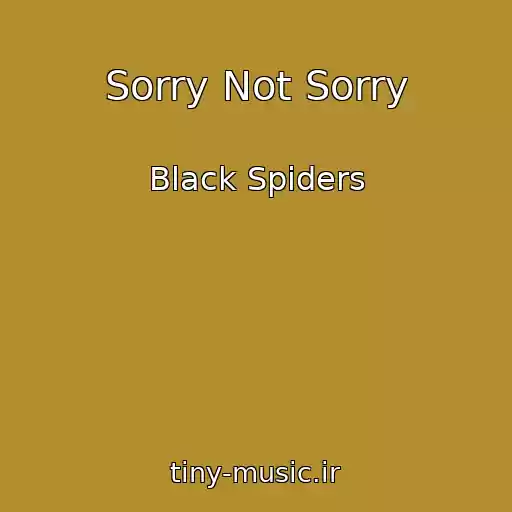 کاور آهنگ Sorry Not Sorry از Black Spiders