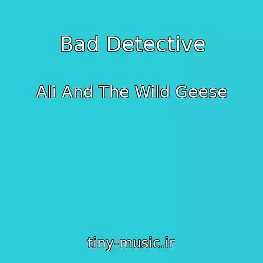کاور آهنگ Bad Detective از Ali And The Wild Geese