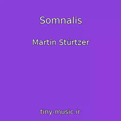 کاور آهنگ Somnalis از Martin Stürtzer