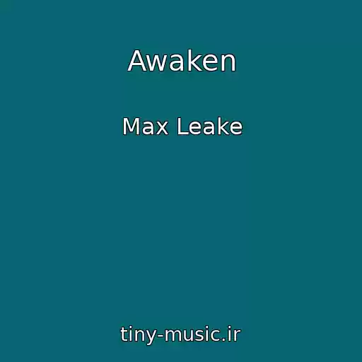کاور آهنگ Awaken از Max Leake