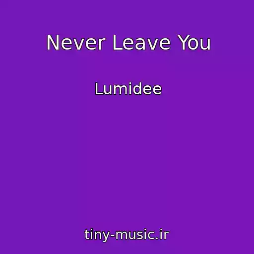 کاور آهنگ Never Leave You از Lumidee