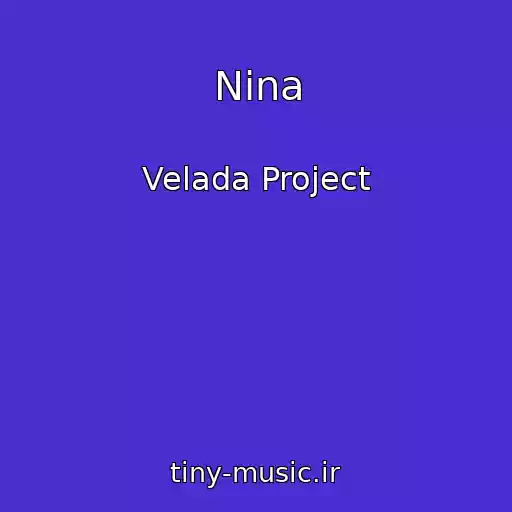 کاور آهنگ Nina از Velada Project