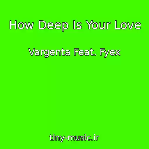 کاور آهنگ How Deep Is Your Love از Vargenta Feat. Fyex