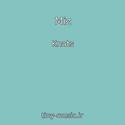 کاور آهنگ Miz از Knats