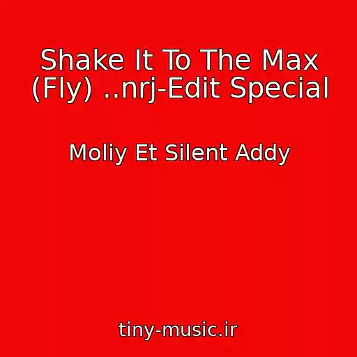 کاور آهنگ Shake It To The Max (Fly) ..nrj-Edit Special از Moliy Et Silent Addy