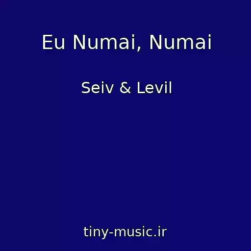 کاور آهنگ Eu Numai, Numai از Seiv & Levil