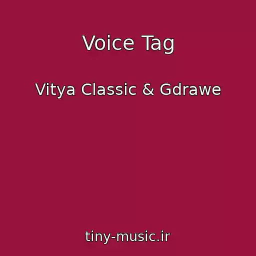 کاور آهنگ Voice Tag از Vitya Classic & Gdrawe