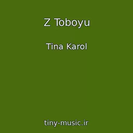 کاور آهنگ Z Toboyu از Tina Karol
