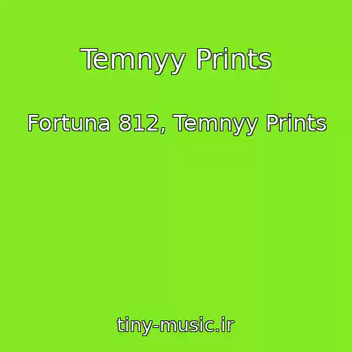 کاور آهنگ Temnyy Prints از Fortuna 812, Temnyy Prints