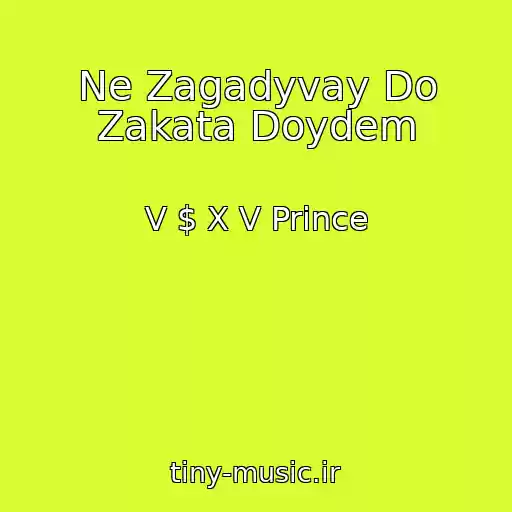 کاور آهنگ Ne Zagadyvay Do Zakata Doydem از V $ X V Prince