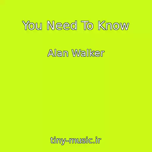 کاور آهنگ You Need To Know از Alan Walker