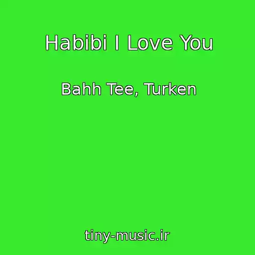کاور آهنگ Habibi I Love You از Bahh Tee, Turken