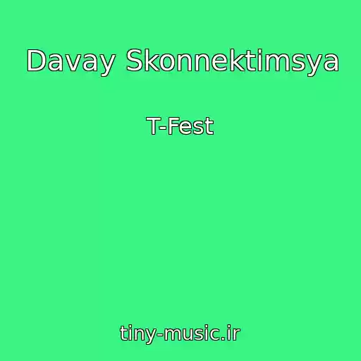 کاور آهنگ Davay Skonnektimsya از T-Fest