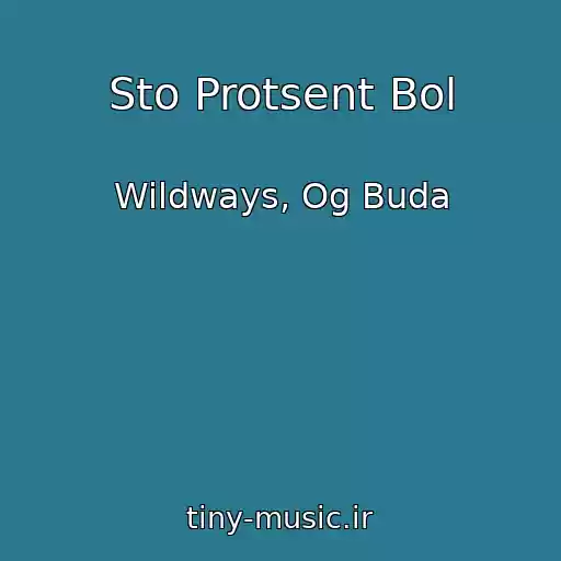کاور آهنگ Sto Protsent Bol از Wildways, Og Buda