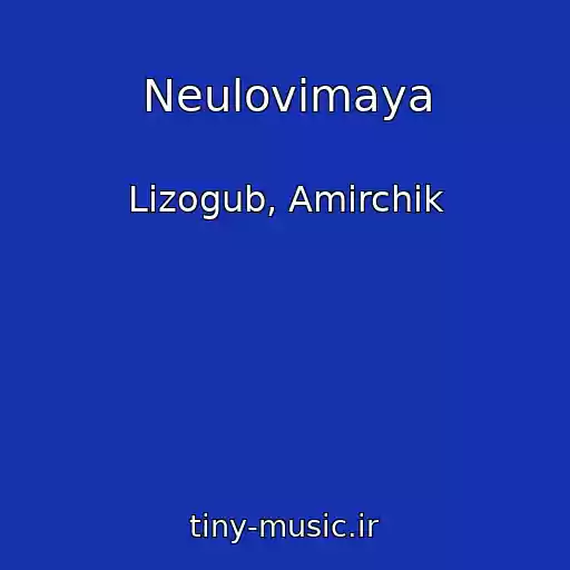 کاور آهنگ Neulovimaya از Lizogub, Amirchik