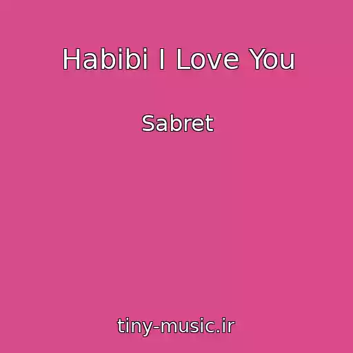 کاور آهنگ Habibi I Love You از Sabret